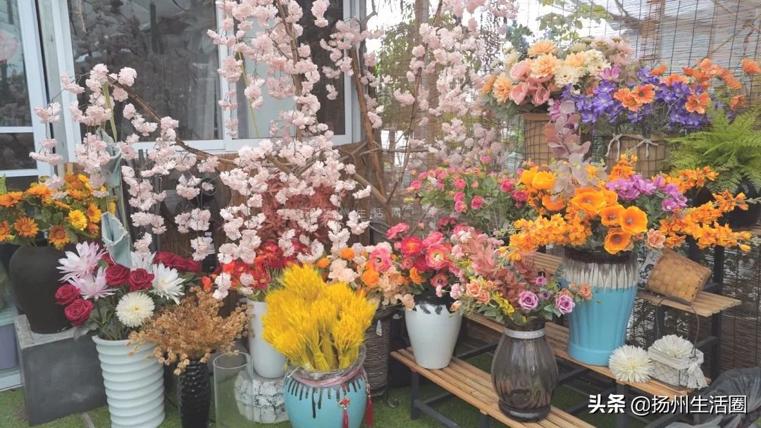 2元花盆批发清仓,2元花卉批发市场