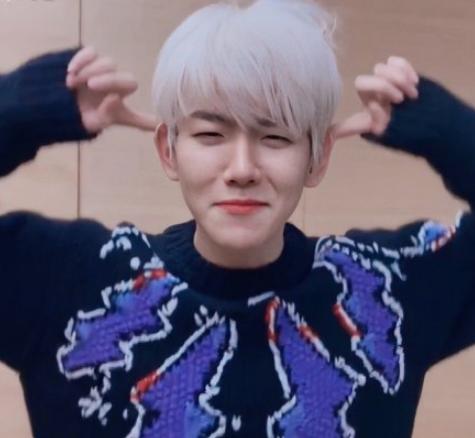 边伯贤调侃exo,exo边伯贤是搞笑担当吗