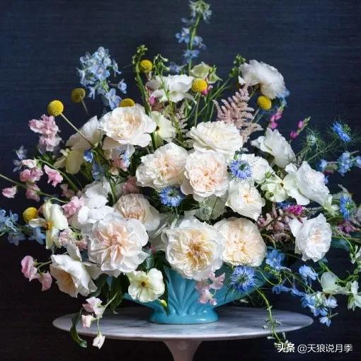 诗情与花意｜种花不识“奥切”仙，纵是花神也枉然