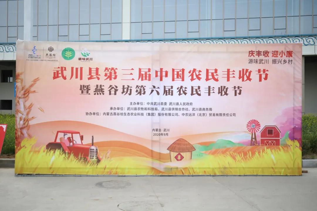 第三届中国农民丰收节汝南,益阳市第三届中国农民丰收节举行