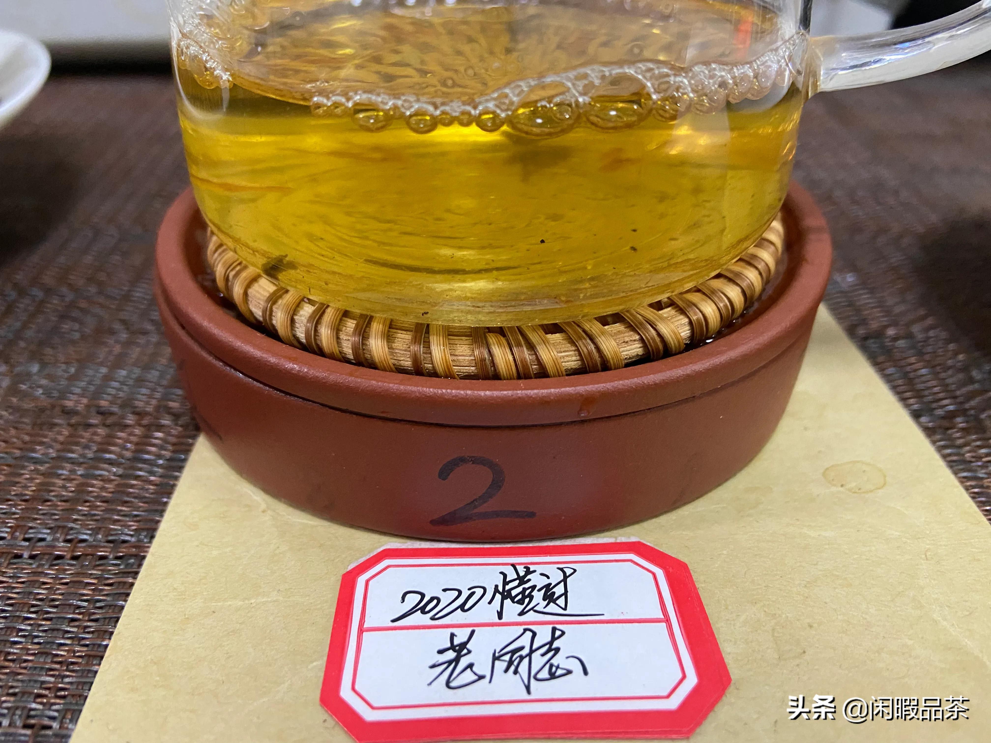 [闲暇品茶]第21-04期2020老同志懂过生普（中山起湾）