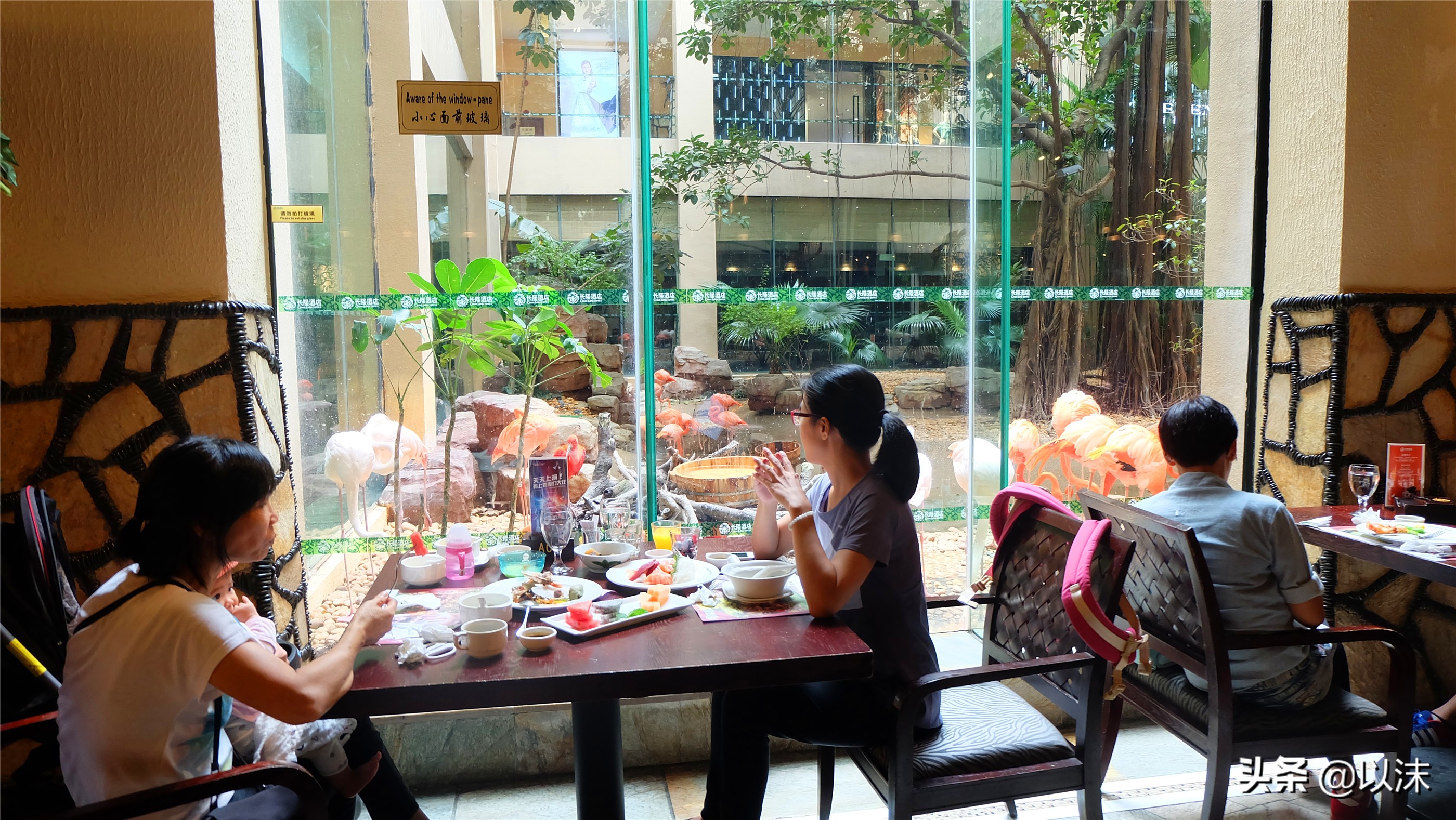 长隆野生动物世界游玩攻略,长隆野生动物世界带娃攻略