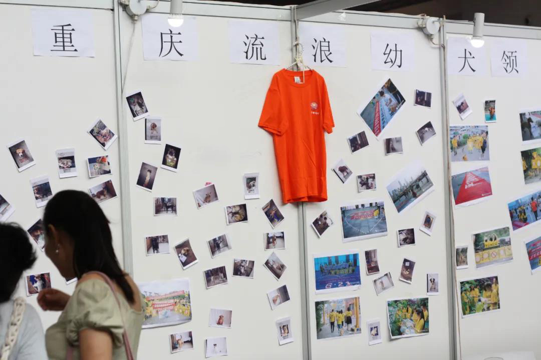 CPF活动预告|阿派第30届领养日——人间值得，只要它能与你相遇