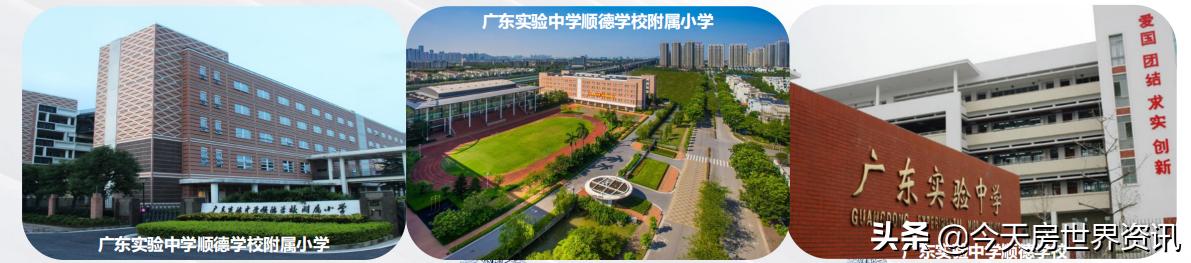 顺德容桂碧桂园凤凰湾为什么便宜,顺德碧桂园凤凰湾怎样