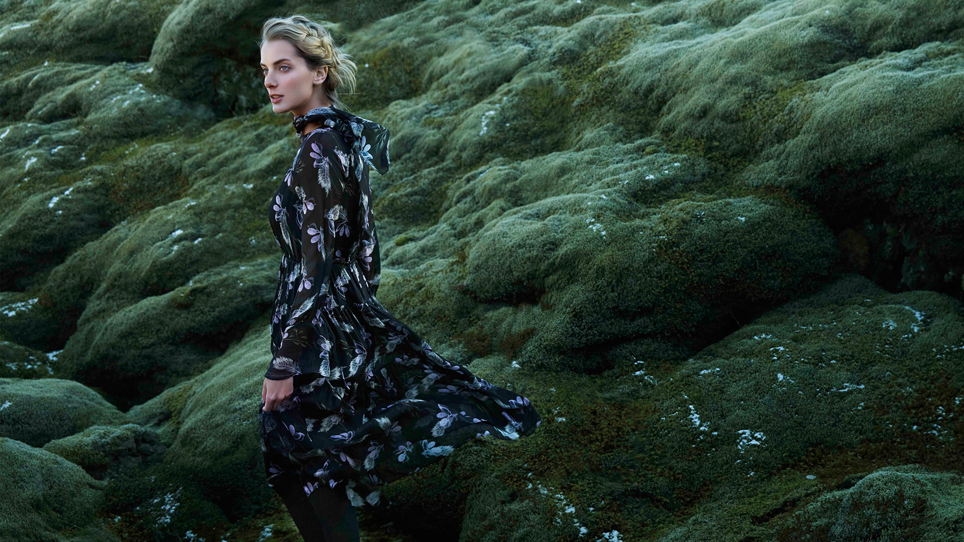 歌莉娅升级版,歌莉娅怀旧