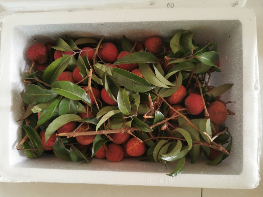 皮肤过敏怎么查过敏源多少钱,皮肤过敏过敏源有哪些