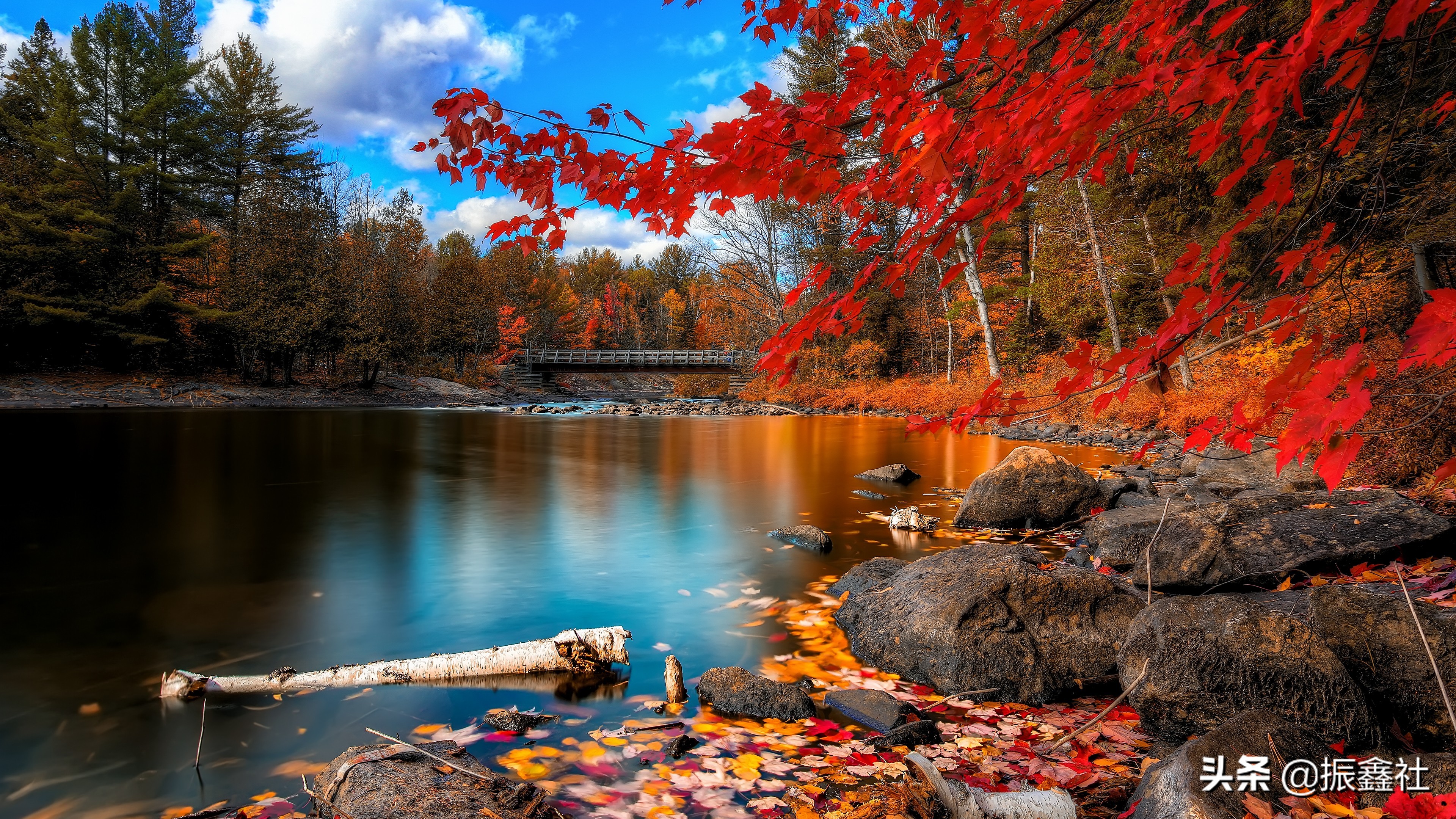 最新顶级高贵风景超清全面屏壁纸,绝美的风景电脑壁纸