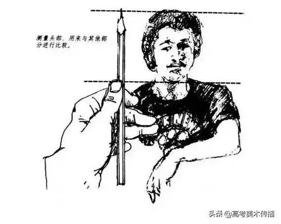 画画造型要到位,画画时怎样才能把形弄准