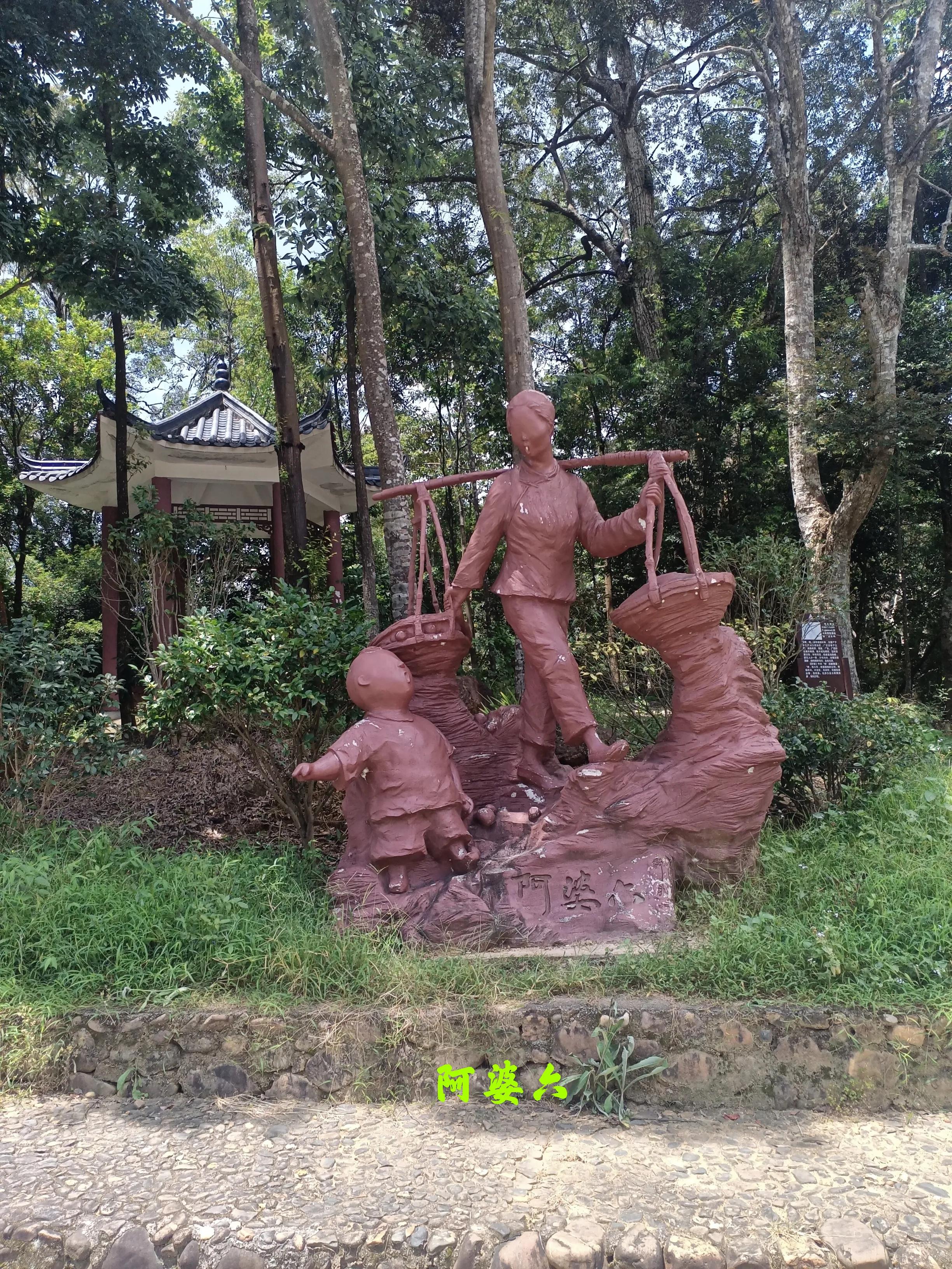 乘公交去乡下:广州海拔最高的村落-阿婆六村