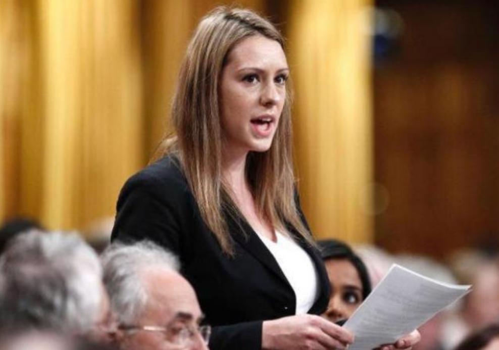 裸露成癖？加拿大议员又“火”了，全裸出镜会议后又在镜头前小便