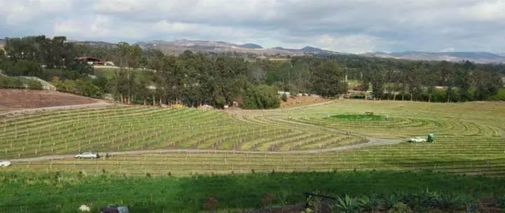 田园牧歌有哪些,田园牧歌纪录片