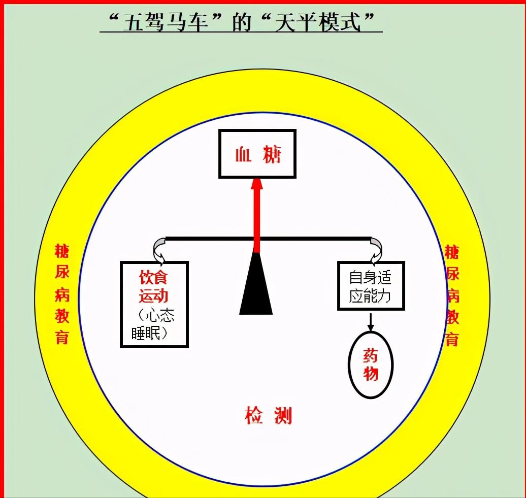 糖尿病治疗“五驾马车”,糖尿病治疗的五驾马车是谁提出的