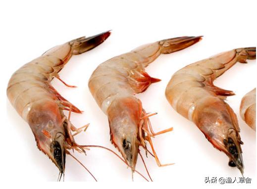 烟台十大农产品,烟台具有特色的农产品