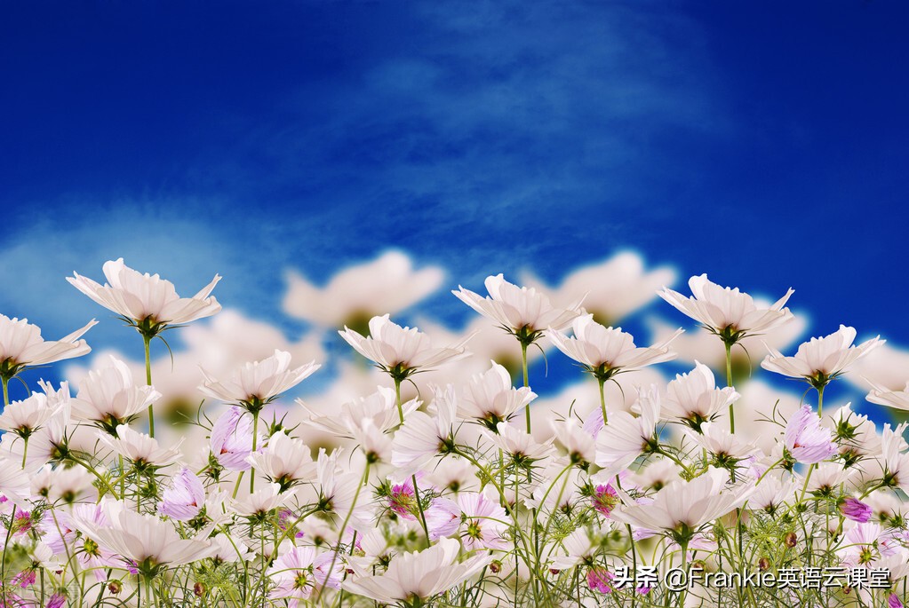 中考英语阅读理解的体裁,中考英语阅读理解二十篇