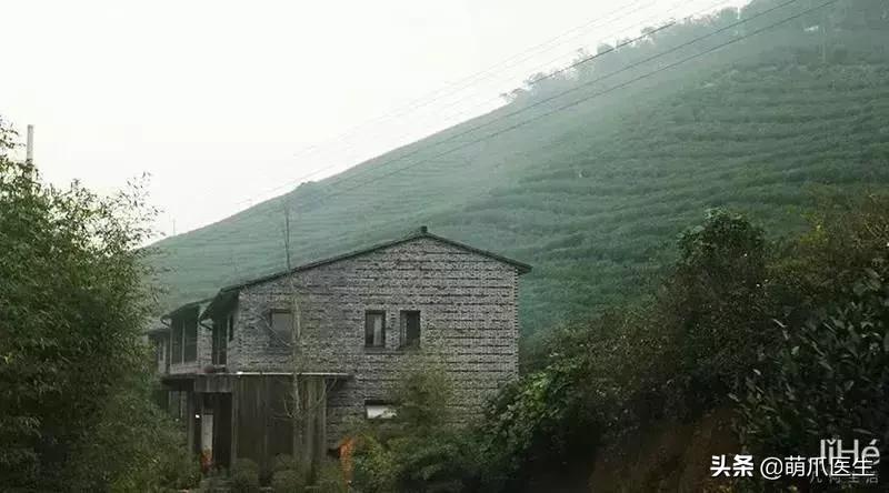 带宠物住宿酒店,带宠旅行酒店