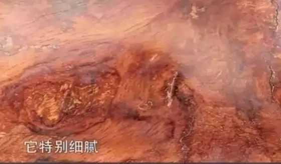 500元梅花鹿,鉴宝黄花梨梅花鹿