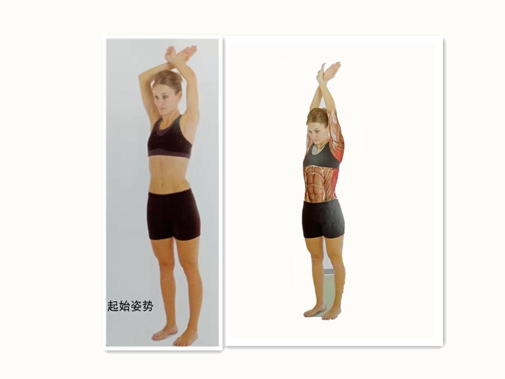 经常玩电脑腰酸背痛？大神教你6个独家拉伸技巧，背部轻松365天