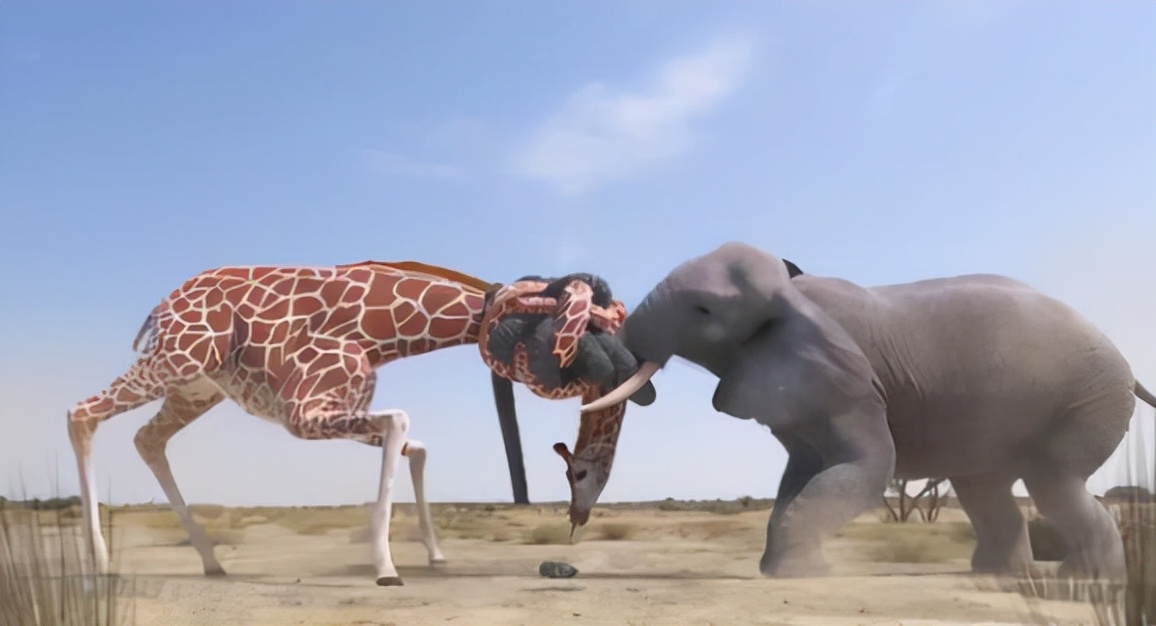 和人争吵后倒地不起检查全部正常,与人争吵就全身发抖是怎么回事