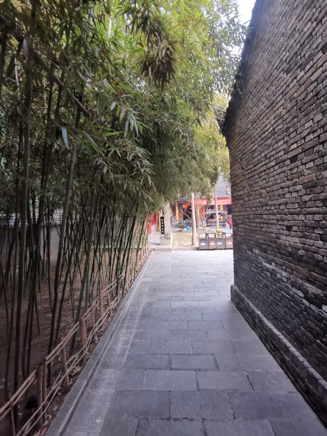 西安罔极寺攻略,西安罔极寺最新消息