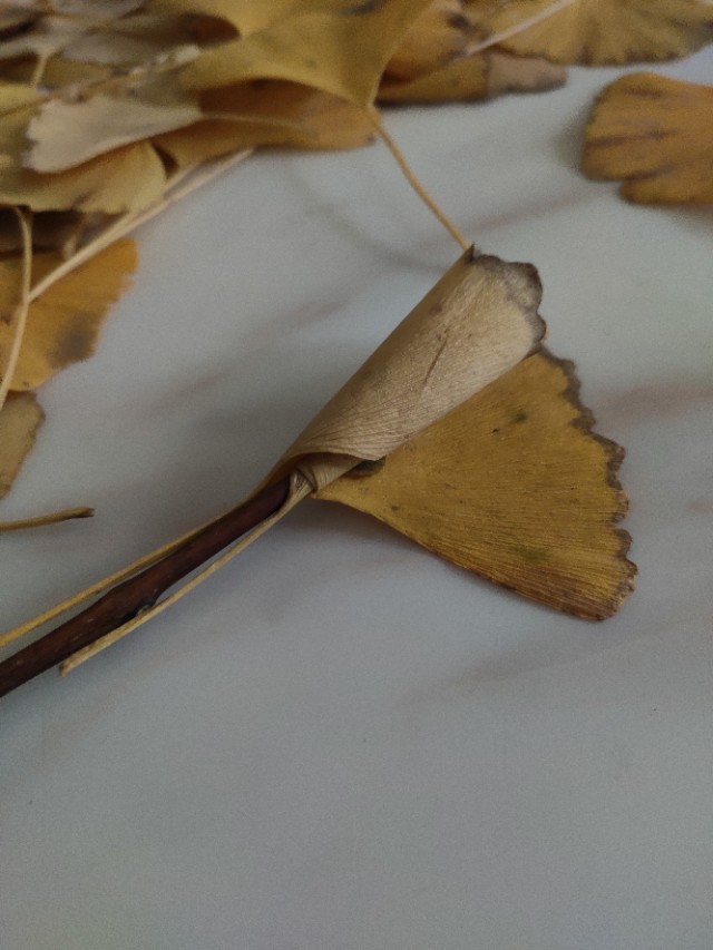 银杏叶手工花贴画幼儿园简单,银杏叶可以做什么手工小学生做的