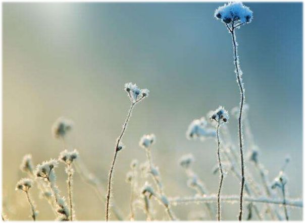 名医的治病秘诀——一人一方论