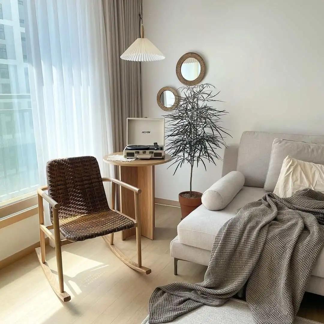 网红必备的高颜值绿植,ins风的网红绿植