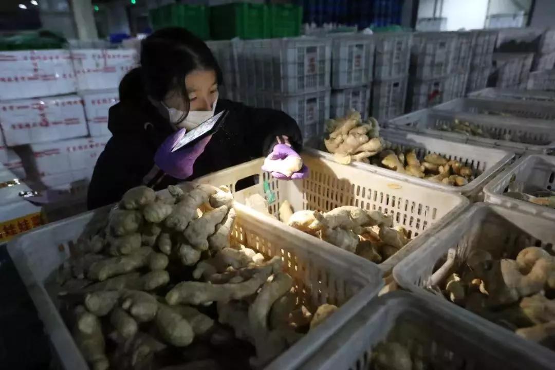 贴心举措暖人心上门服务解民忧,威海高区用温情服务打开群众心结