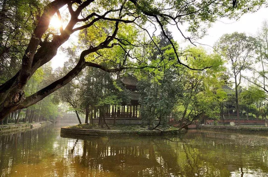 您有一份邀请函请查收,您有一份新的工作请查收