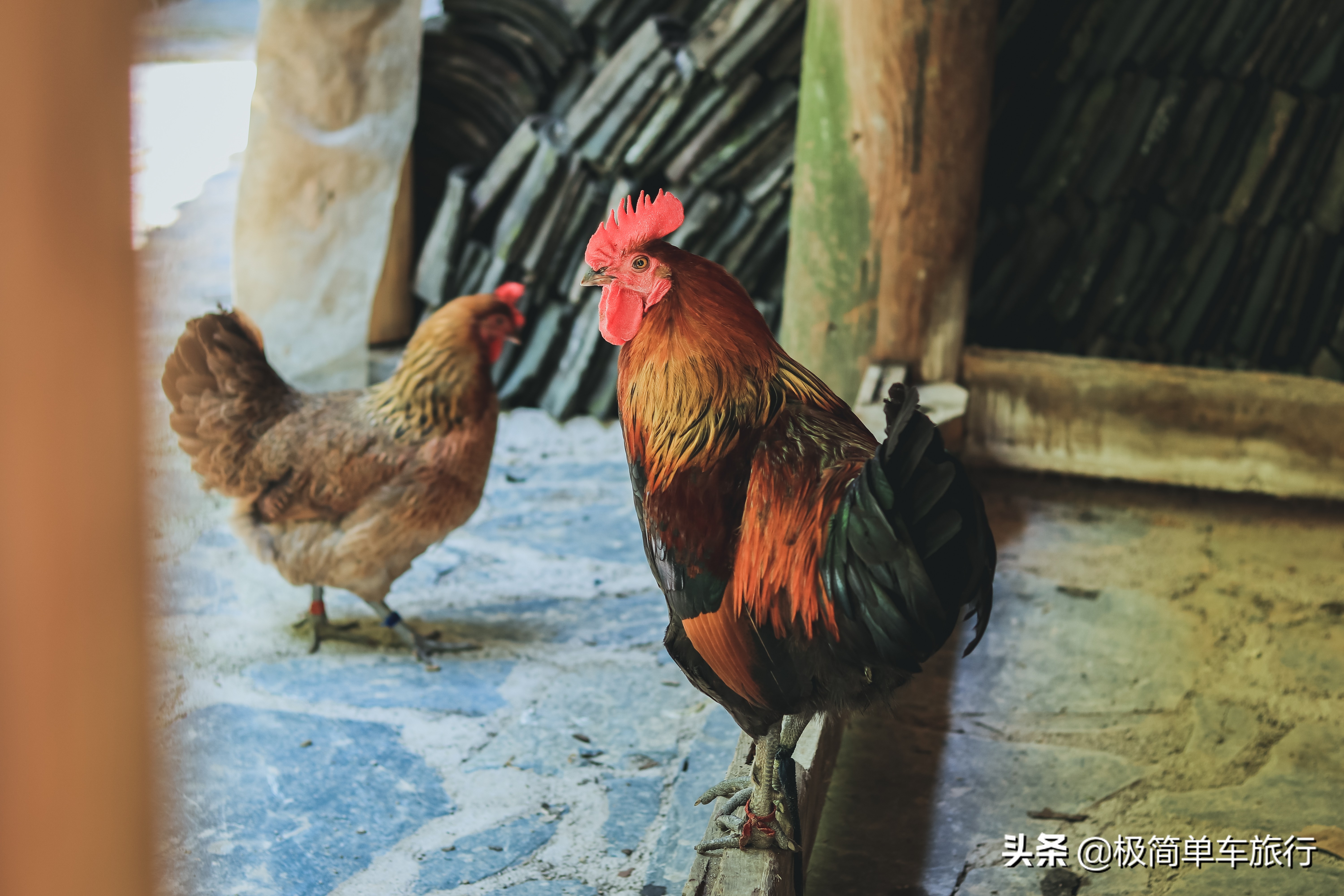 2020乘风破浪，骑行广西贵州之贵州篇：D23:西江-凯里