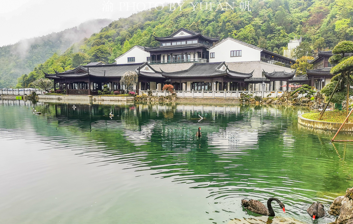 金佛山环山自驾,五一去金佛山最佳路线