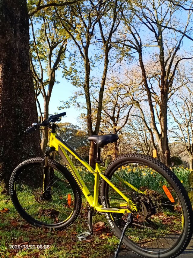 一树山,我的精神家园