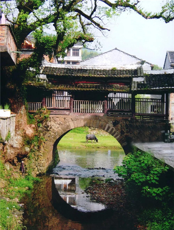 平阳千年古县遗产,平阳历史文化古街