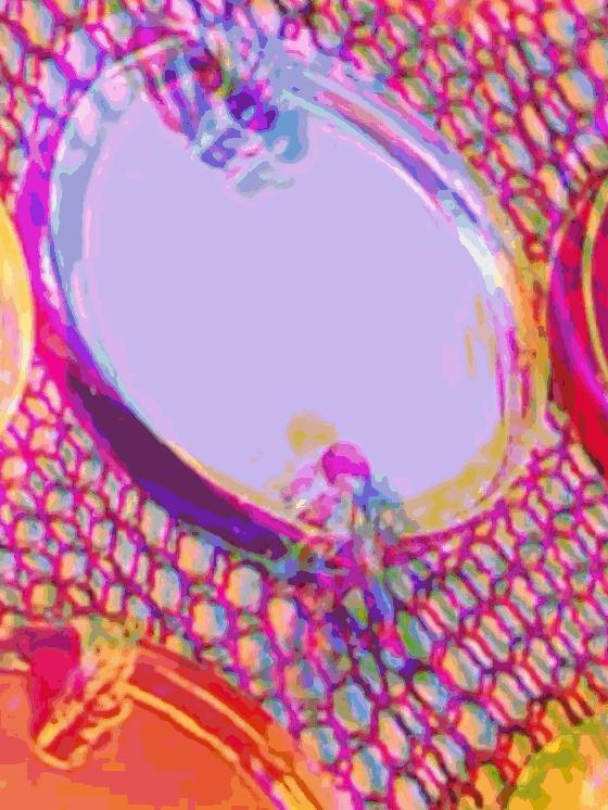 迪奥dior2020走秀冬季款运动鞋,dior2012春夏走秀视频完整版