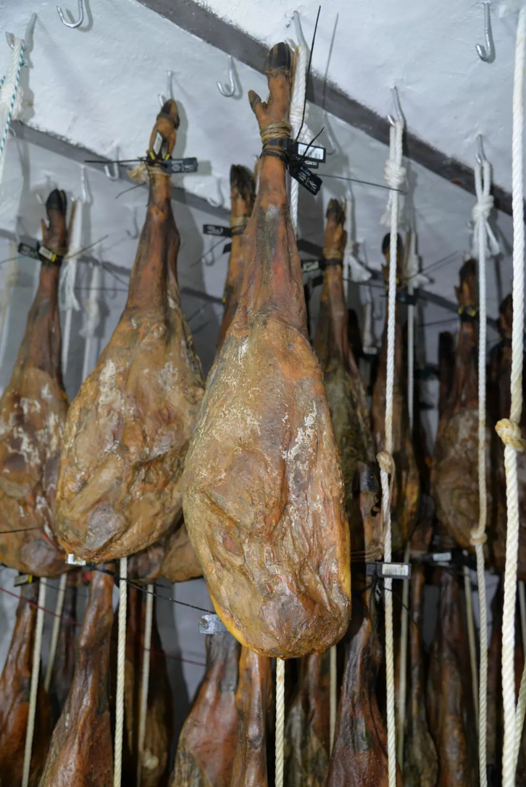 这次AsianFoodFestival汇聚亚洲食力，不止梁静茹给了杭州勇气