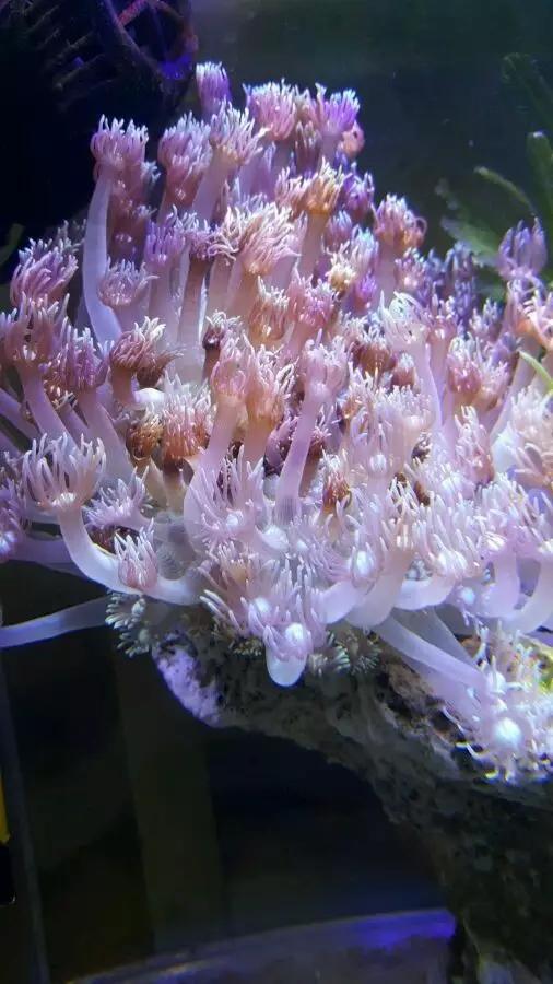 大学生1000元在宿舍开缸,还贴“禁止手碰”的标识,担忧舍友关系