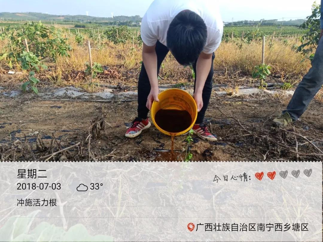 鉴别假化肥的方法,还有哪些辨别假劣化肥的方法