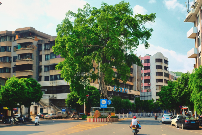 广东最没存在感的城市云浮,广东云浮是什么样的城市
