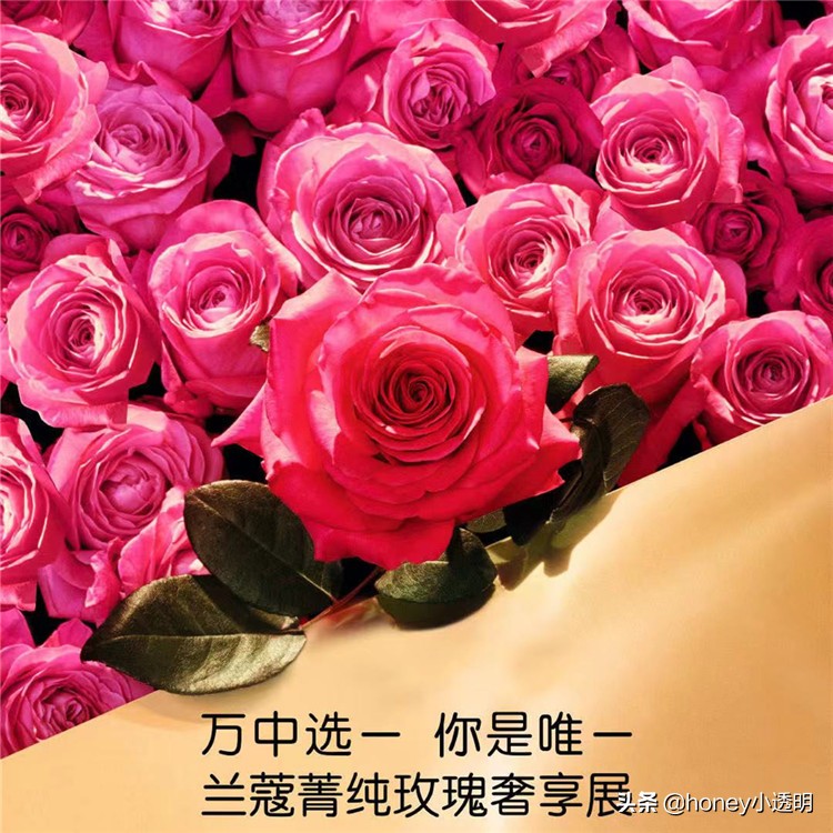 兰蔻臻白系列护肤品,兰蔻奢华系列