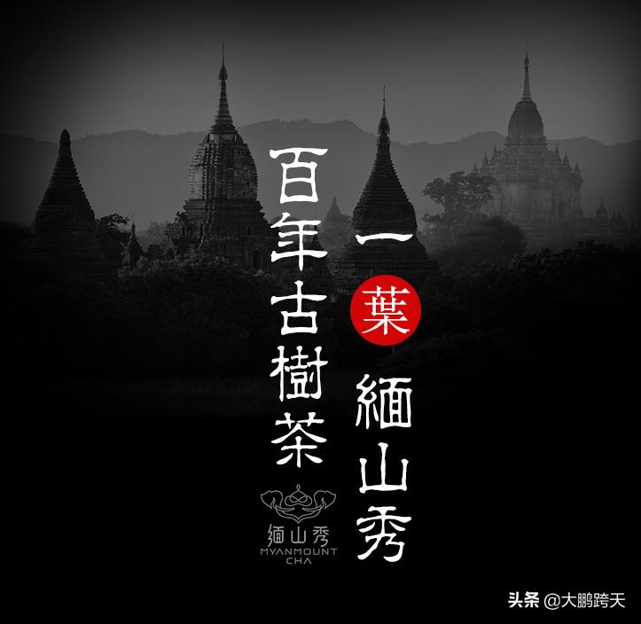 缅甸茶普洱茶,缅甸茶的特点