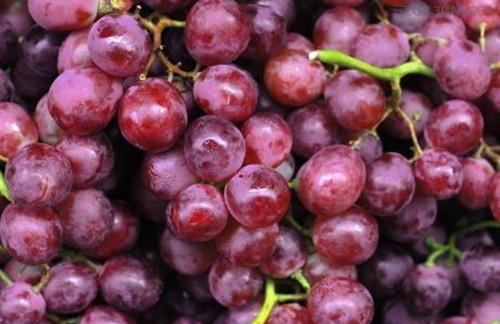 皮肤晒黑吃什么能让皮肤变过来,皮肤被晒黑吃什么最好