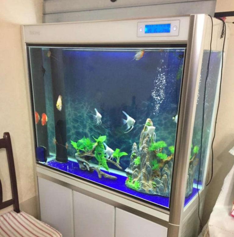 鱼缸噪音太吵怎么解决,鱼缸底滤噪音大还是上过滤噪音大