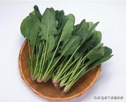 小麦引进中国之前人们吃什么,涨姿势科普刷新您对大米的认知