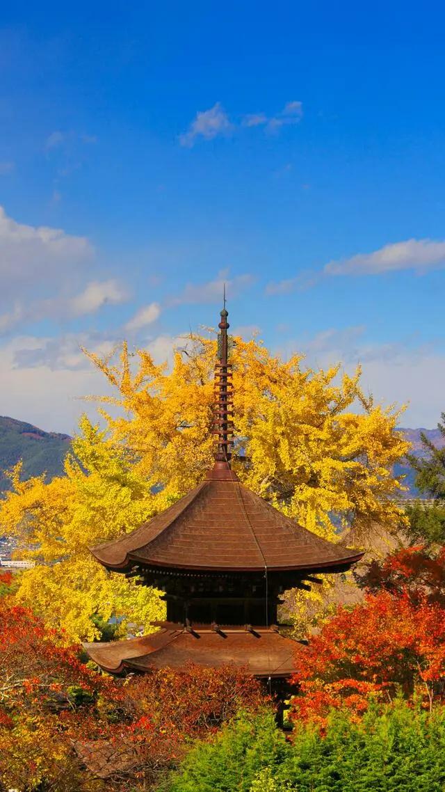 鲁教版八年级英语Unit2SectionB复习学案