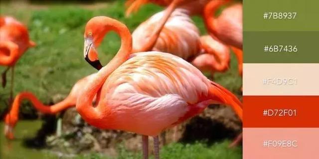 999张照片模板,999999999的创意图片