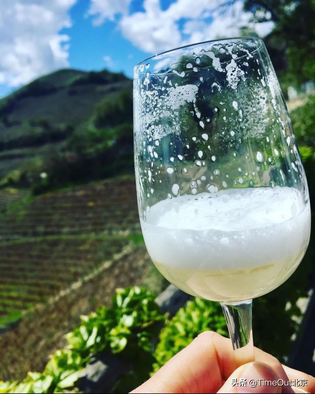 一杯充满正能量的酒,一杯有味道的酒