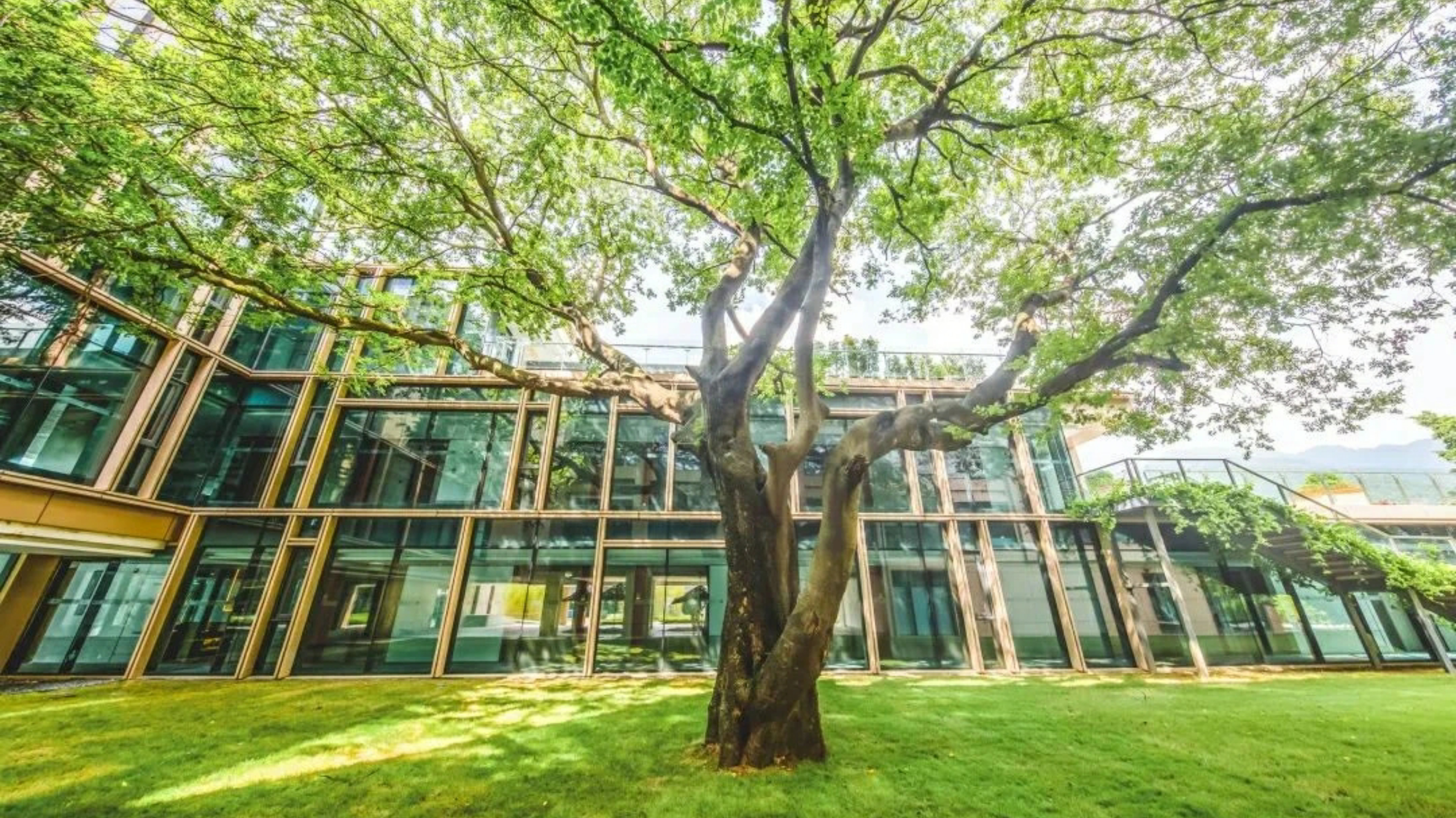 广东从化温泉别墅度假推荐,从化独立温泉泡池