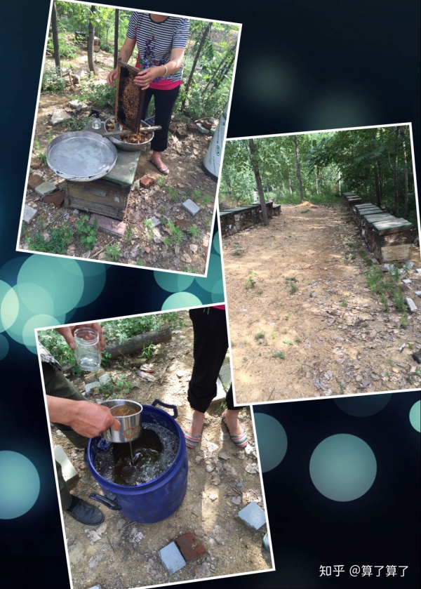 华山泰山黄山哪个高,恒山华山嵩山泰山衡山哪个山最高