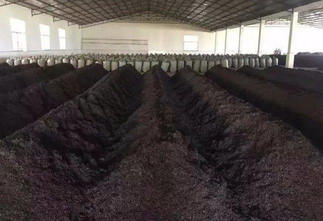 普洱茶紧压技术有哪些特点,普洱茶生茶紧压茶好坏之分