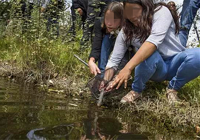 六角恐龙宠物,宠物六角恐龙