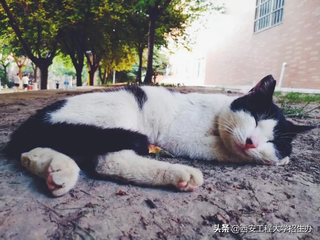 为什么选择西安工程大学,这7个理由足够吸引你